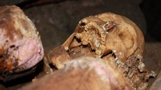 Sự thật về người khổng lồ tóc đỏ bí ẩn 'ăn thịt' đồng loại