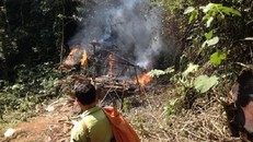 Nghệ An: 'Lâm tặc' tuyên bố dùng ‘luật rừng’ xử 2 lãnh đạo phòng hộ