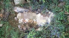 Phát hiện bộ xương người nằm lộ thiên gần bờ suối