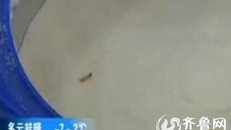 Rụng rời phát hiện sữa bột Aptamil lổm ngổm côn trùng