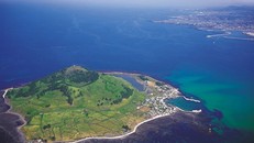 Hàn Quốc truy tìm 32 du khách Việt bỏ trốn trên đảo Jeju