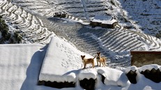 5 điểm có thể ngắm tuyết rơi đẹp như ở trời Tây tại Việt Nam