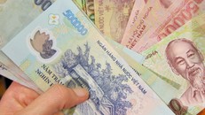 Làm gì để 'hái' ra tiền dịp Tết?