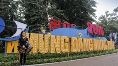 Ngắm Hà Nội rực rỡ cờ hoa dịp Đại hội Đảng 12