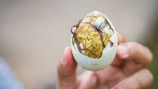 Những điều 'nằm lòng' khi ăn trứng vịt lộn