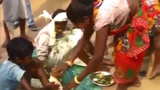 Sốc với clip cậu bé 7 tuổi cưới...chó để đuổi điềm xấu