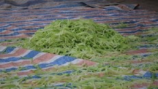 Kinh hoàng mứt tết phơi cạnh nhà vệ sinh ở làng nghề lớn nhất VN