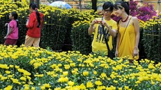 Lịch nghỉ Tết 9 ngày của học sinh Hà Nội