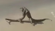 Choáng với ‘đô vật’ nảy lửa của cặp thằn lằn khổng lồ giữa phố