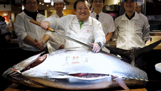 Bên trong chợ cá lớn nhất thế giới ở Nhật Bản