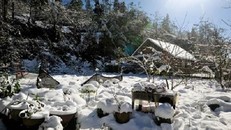 Tuyệt chiêu không thể bỏ qua khi du lịch Sapa ngày tuyết rơi