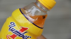 Vụ việc Tân Hiệp Phát: Xét nghiệm ruồi sẽ có kết quả!?