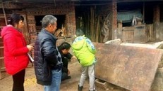 Ngã ngửa vì nông dân dùng cổ vật trăm năm làm... thớt băm rau