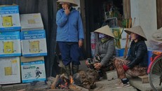 Những bức ảnh cực ‘độc’ chỉ có trong những ngày siêu rét ở Bắc Bộ