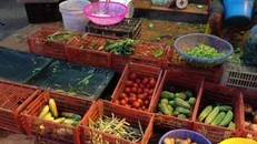 Người Hà Nội xếp hàng mua thực phẩm tích trữ ngày rét kỷ lục 7oC