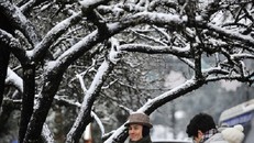 Thời tiết ngày 25/1: Nhiều tỉnh vùng cao phía Bắc có băng tuyết