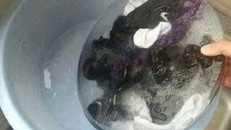 Những tình huống 'dở khóc, dở cười' trong ngày mùa đông giá rét