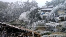 Đã có người chết cóng vì tuyết rơi trong đợt rét kỷ lục