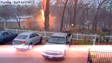 Kinh hoàng khoảnh khắc tia sét 'chặt đôi' cây to thành hai mảnh