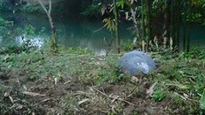 Kết luận ban đầu về 'vật thể lạ' rơi ở Tuyên Quang