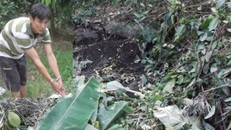 Nghịch tử giết chết mẹ rồi vùi xác dưới mương nước 