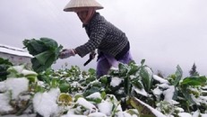 Thời tiết 31/1: Rét đậm và băng giá khả năng xuất hiện trở lại