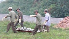 Bà trùm heroin Lại Thị Ngấn chết ngất ngày đền tội, nỗi đau mẹ già