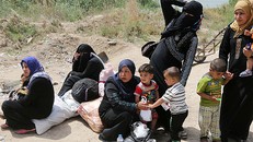 Gia đình chạy trốn IS bằng những viên thuốc ngủ