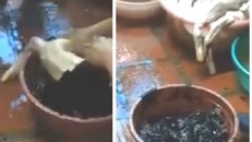 Chóng mặt với tốc độ kinh hoàng '1 phút vặt lông 5 con vịt'