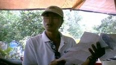 Tràn lan giấy và dấu kiểm dịch động vật giả đầu độc người tiêu dùng