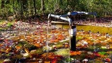 Bí ẩn những dòng “suối tiên” chữa bách bệnh