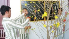 Các trùm giang hồ bật khóc trong tù vì nhớ Tết