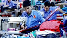 Giáo dục không thay đổi, lao động Việt sẽ mất việc ngay sân nhà