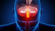 Giải mã hiện tượng không thể quên ký ức