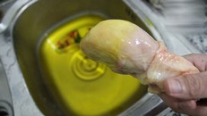 Gà nhuộm hóa chất quá độc hại có thể gây ung thư