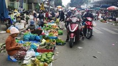 Lạ kỳ lên phố mua rau về quê bán, lãi tiền triệu