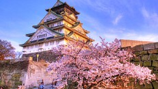 8 thành phố châu Á nên đi trong dịp Tết Nguyên đán