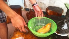 Sự thật về con cá rô đồng quý được trả giá 10 triệu 