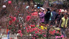 Những con phố nhộn nhịp mua sắm ngày cuối năm