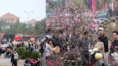 Những hình ảnh xem xong khiến bạn chỉ muốn về quê ăn Tết