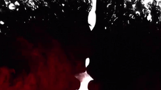 Zayn Malik tung MV cực bạo với 'bạn gái tin đồn'