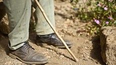 Cụ ông 82 tuổi bị cưỡng hiếp vì từ chối hiếp dâm con gái ruột