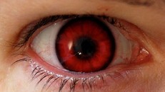 Tiếp theo, loài người sẽ tiến hóa thành Cyborg bất tử