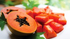 Tác dụng tuyệt vời của hạt đu đủ bạn nên biết