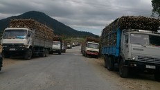 Bí mật ghi hình, Giám đốc Sở GTVT 'trảm' chánh thanh tra