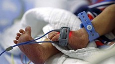 Bé trai sơ sinh bị đâm nhiều nhát, chôn sống ở cánh đồng 