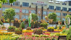 Hôm nay khai mạc đường hoa Tết Nguyễn Huệ tại TP.HCM