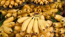 12 lý do bạn nên ăn chuối trong ngày Tết