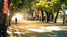 Dự báo thời tiết ngày 2/3: Miền Bắc ngày nắng, đêm lạnh