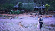 Những địa điểm chụp ảnh cưới đẹp mê đắm ở miền Bắc